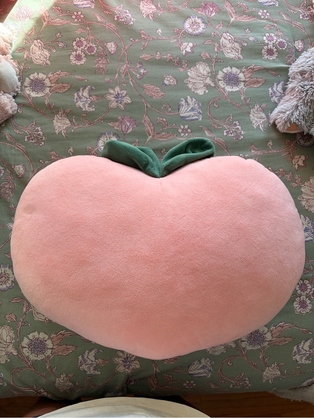 Forever 21 Pink Peach Plush Pillow with Green Leaf Accent